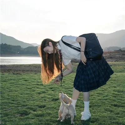 精灵守护者最终章